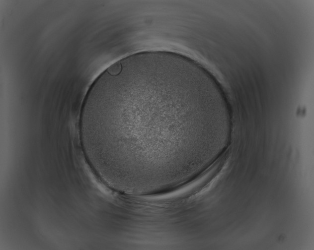 X0000091721513200708241337