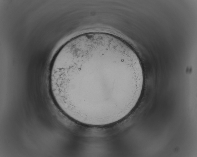 X0000091721514200708241337