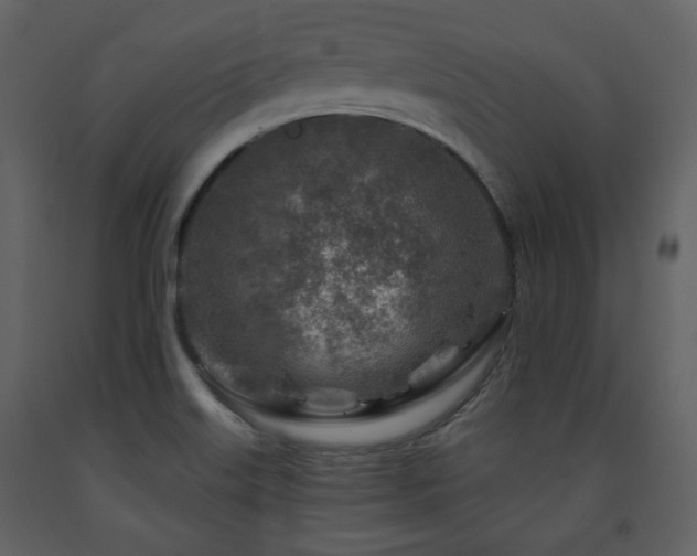 X0000091721515200708241337