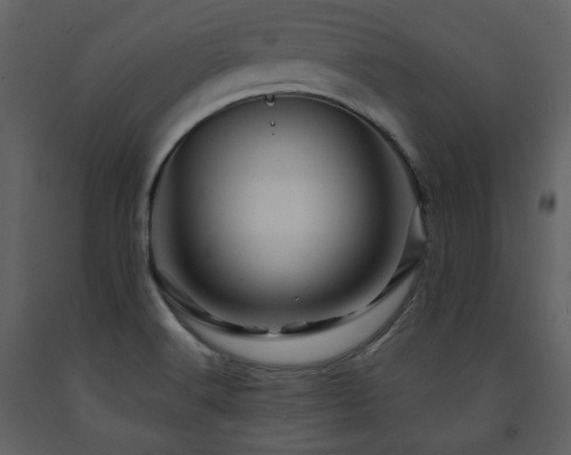 X0000091721516200708241337