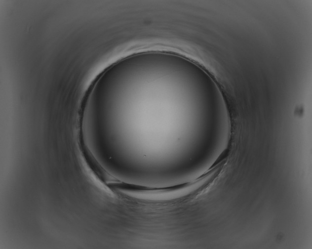 X0000091721518200708241337