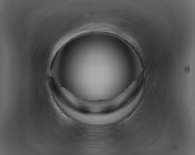 X0000091721520200708241337