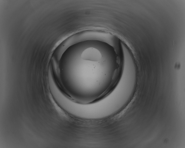 X0000091721521200708241337