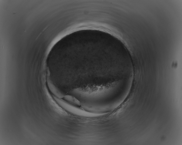 X0000091721522200708241337