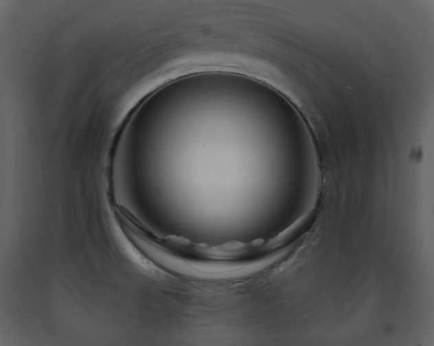 X0000091721523200708241337