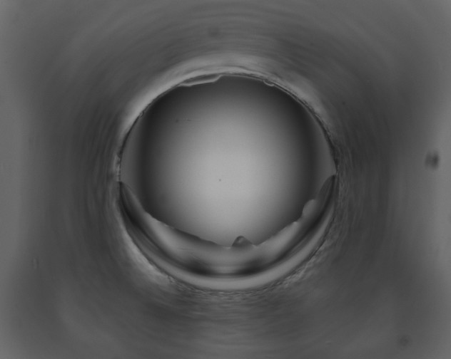 X0000091721524200708241337