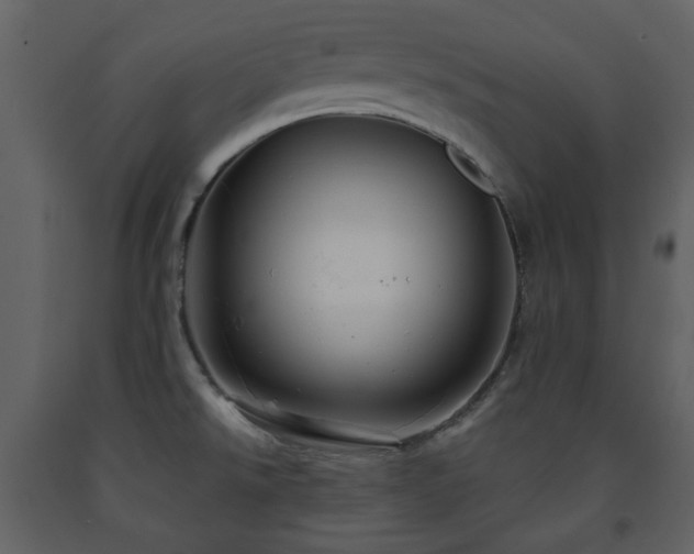 X0000091721526200708241337