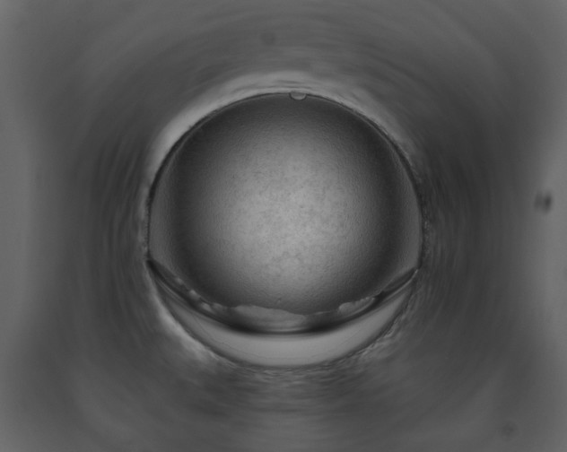X0000091721527200708241337