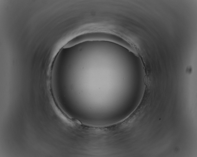 X0000091721528200708241337