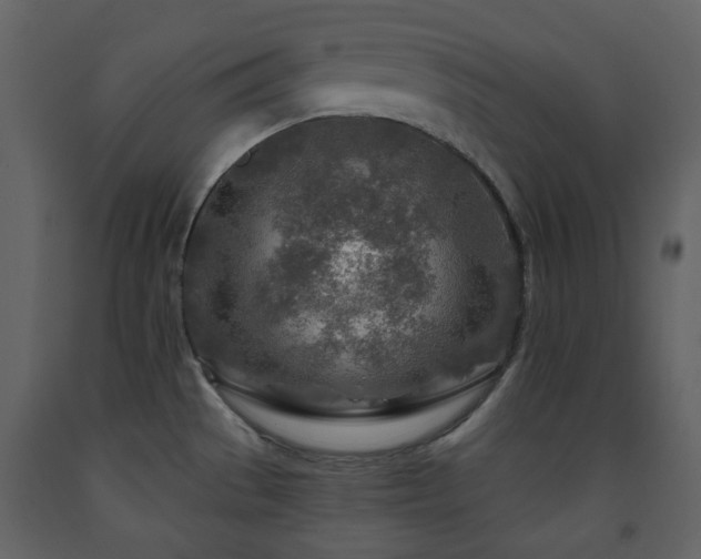 X0000091721529200708241337