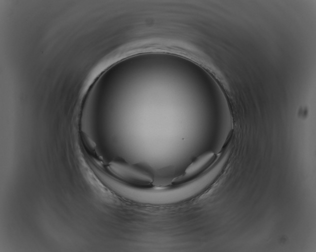 X0000091721530200708241337