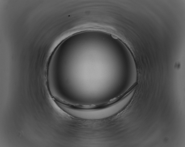 X0000091721531200708241337