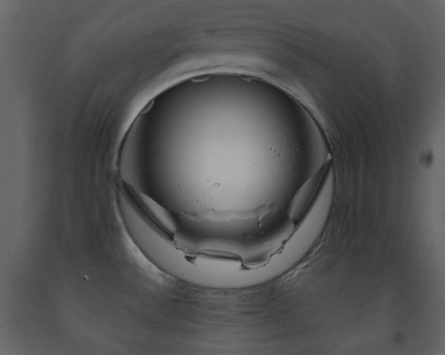 X0000091721532200708241337
