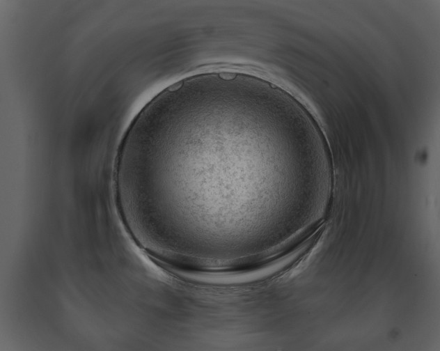X0000091721533200708241337