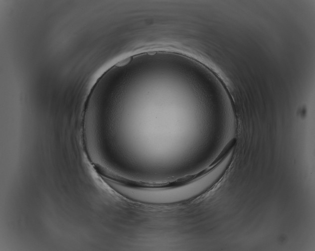 X0000091721534200708241337