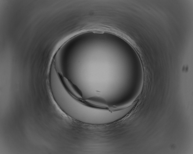 X0000091721536200708241337