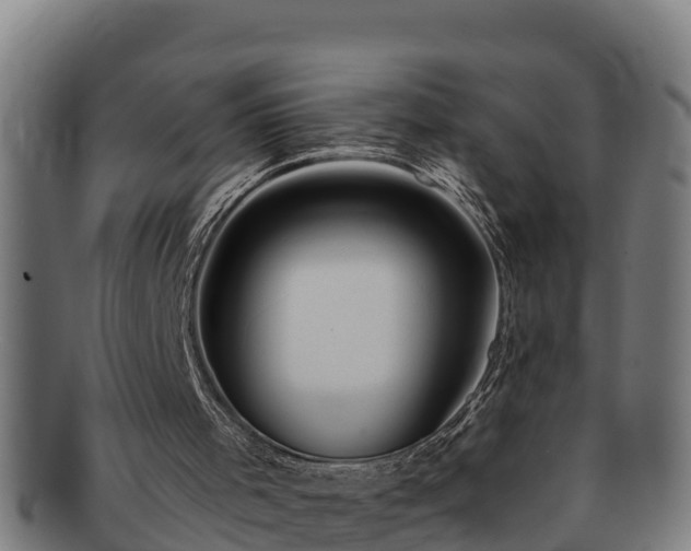 X0000091720001200708311149