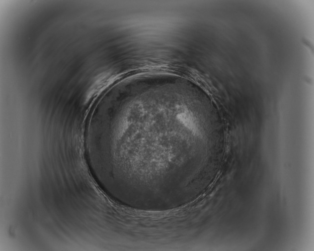 X0000091720002200708311149