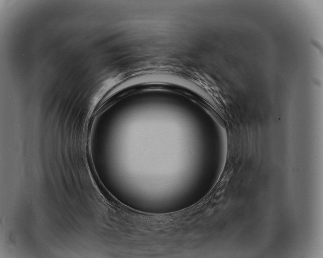 X0000091720003200708311149