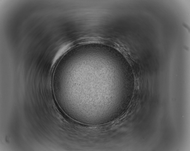 X0000091720004200708311149