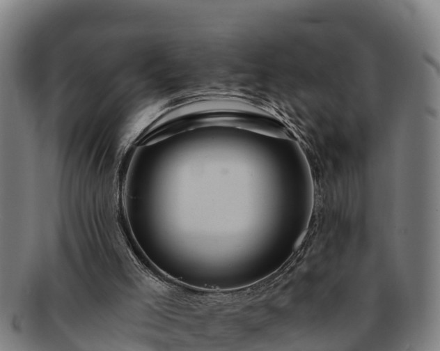 X0000091720005200708311149