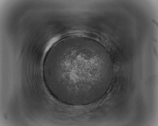 X0000091720006200708311149