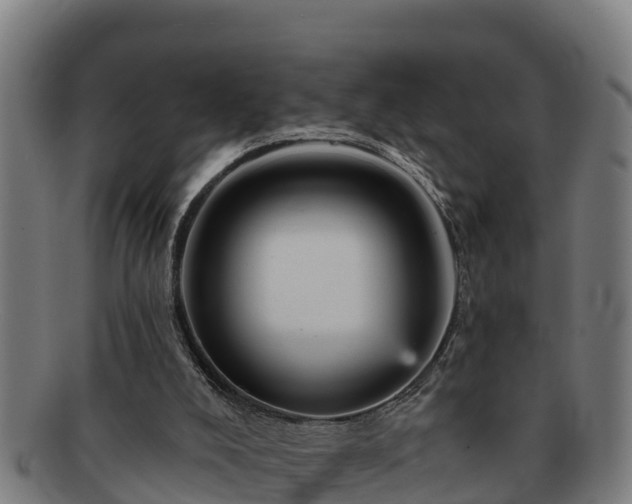 X0000091720008200708311149