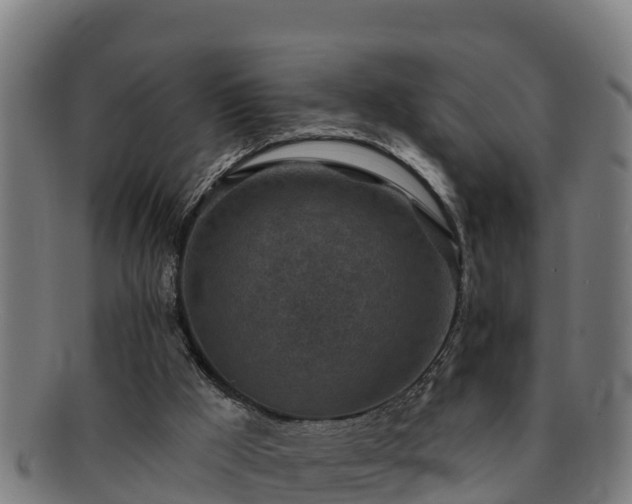 X0000091720009200708311149