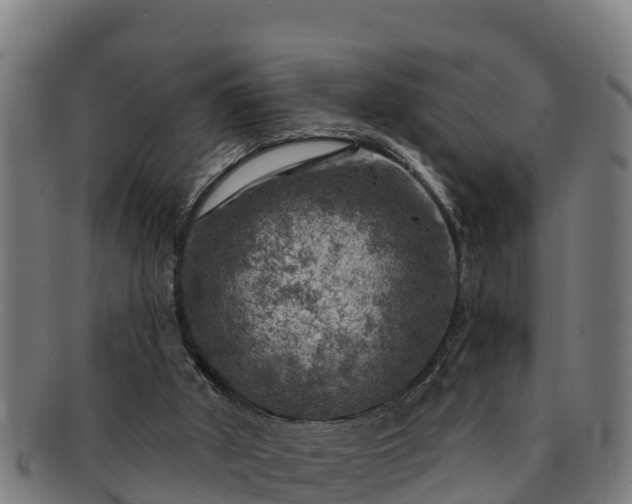 X0000091720010200708311149