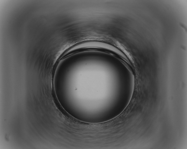 X0000091720011200708311149