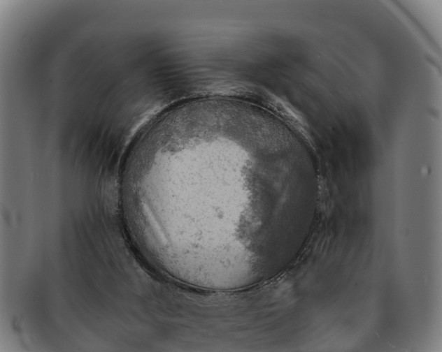 X0000091720012200708311149