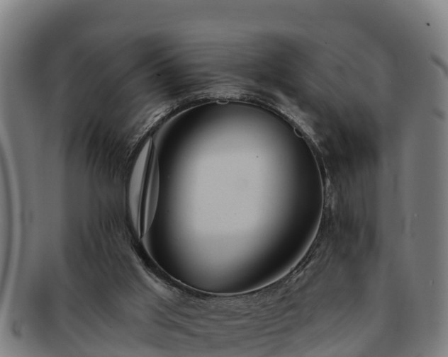 X0000091720013200708311149