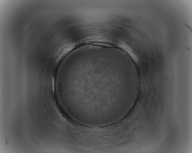 X0000091720014200708311149