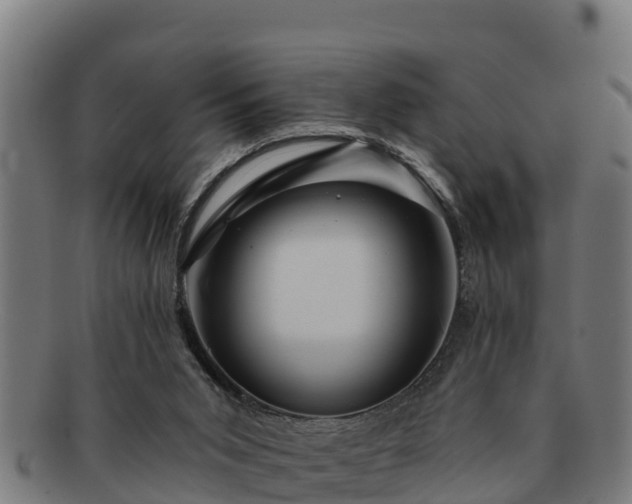 X0000091720015200708311149