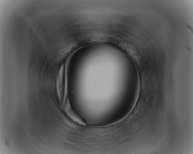 X0000091720017200708311149