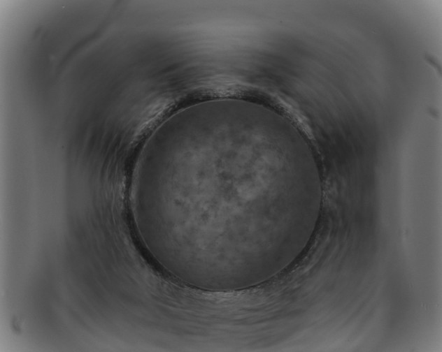 X0000091720018200708311149