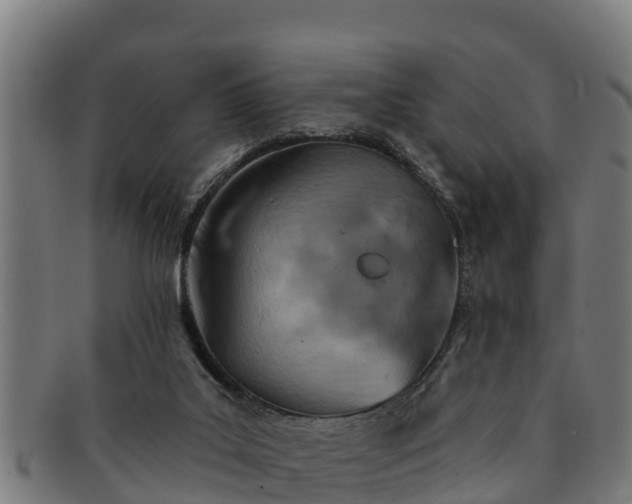 X0000091720019200708311149