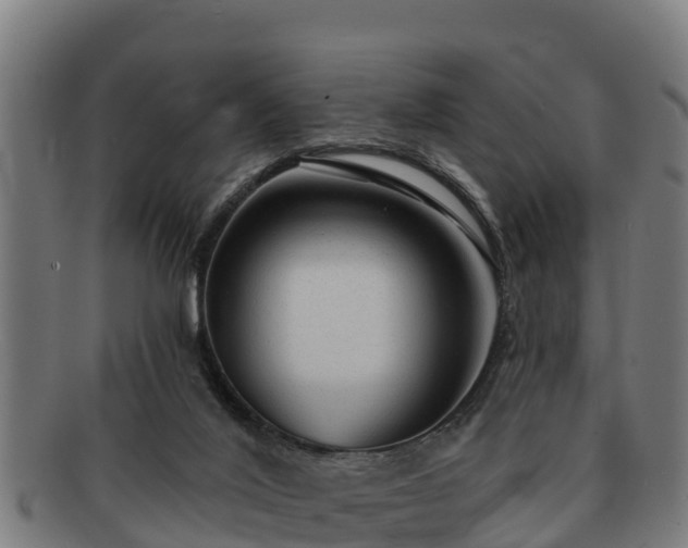 X0000091720020200708311149