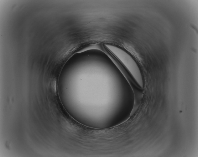 X0000091720021200708311149