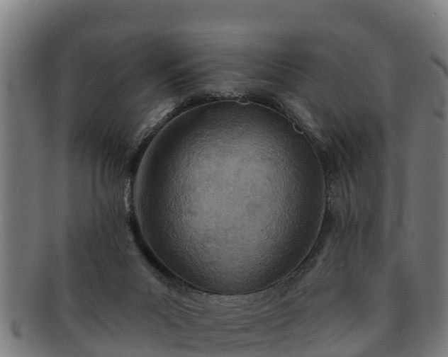 X0000091720023200708311149