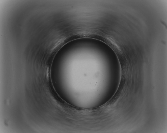 X0000091720024200708311149