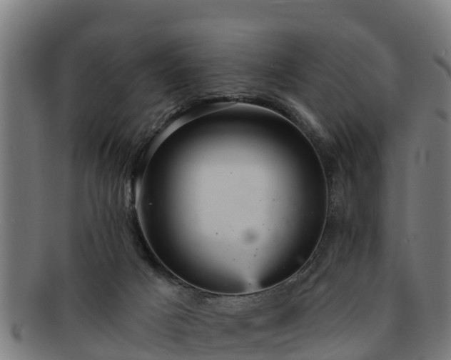 X0000091720025200708311149