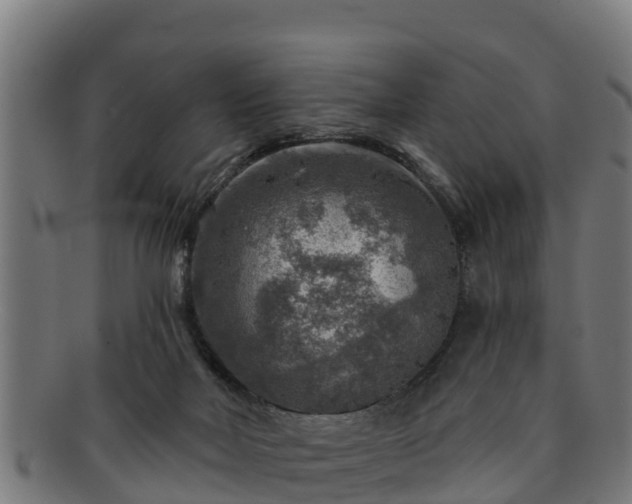 X0000091720026200708311149