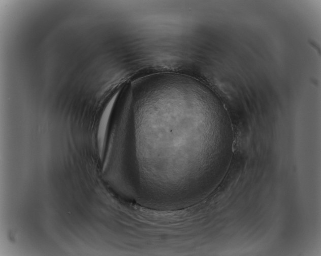 X0000091720027200708311149