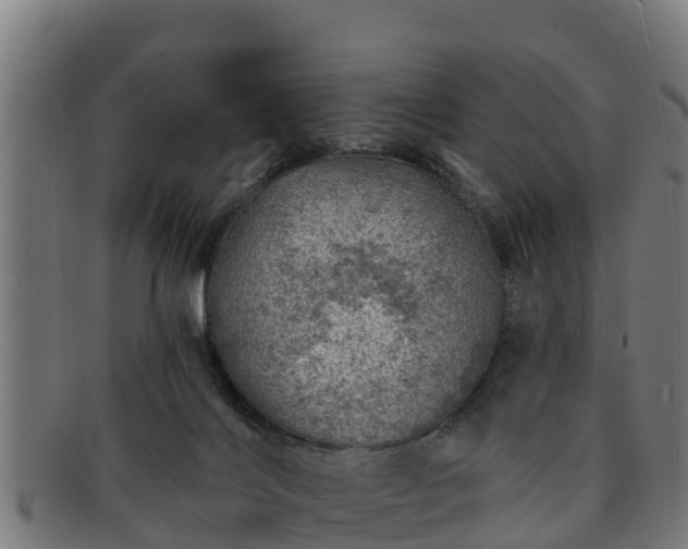 X0000091720028200708311149