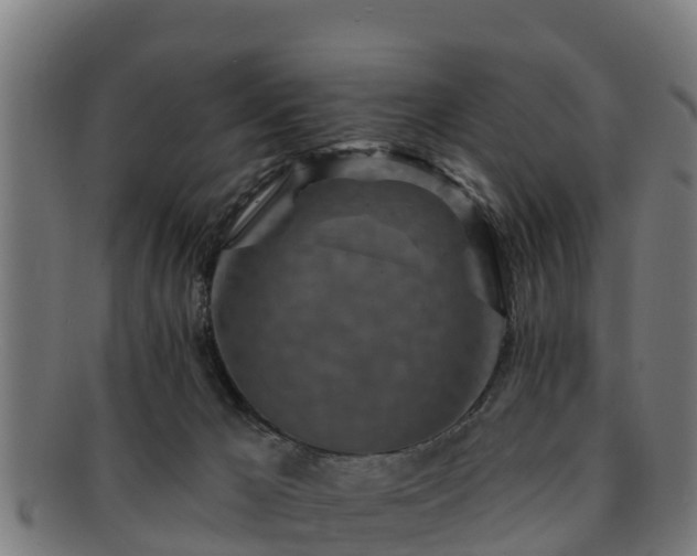 X0000091720029200708311149