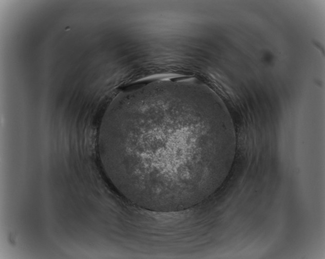 X0000091720030200708311149