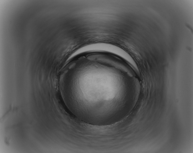 X0000091720031200708311149