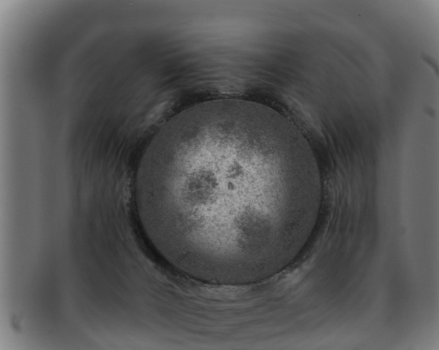 X0000091720032200708311149