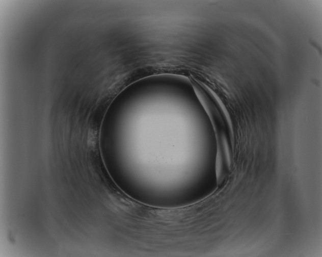 X0000091720033200708311149